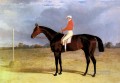 Un cheval de course Dark Bay avec Patrick Connolly Up Herring Snr John Frederick cheval de course